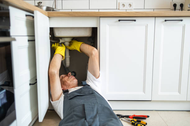 Best Local Plumber Services  in Point Pleasant, WV